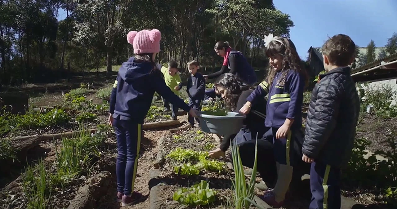 Cena de Plantando nas Escolas