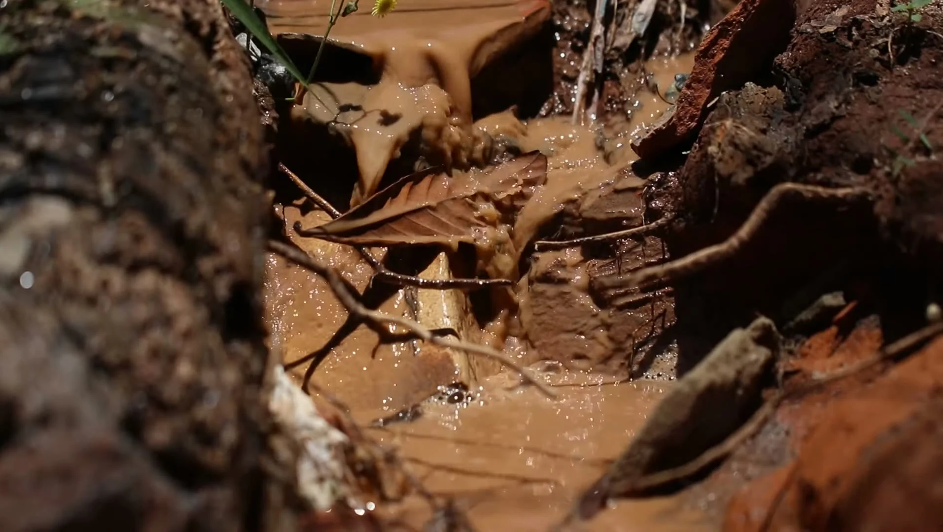 Cena de Recomeço Brumadinho