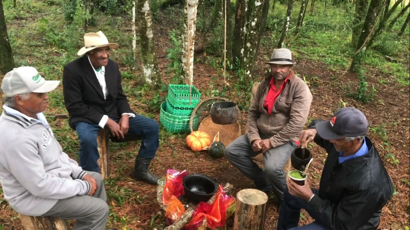 Nos Batuques dos Tambores: o sonho de muitos