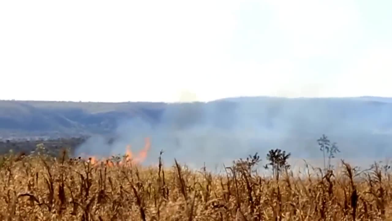 Cerrado - os 4 elementos
