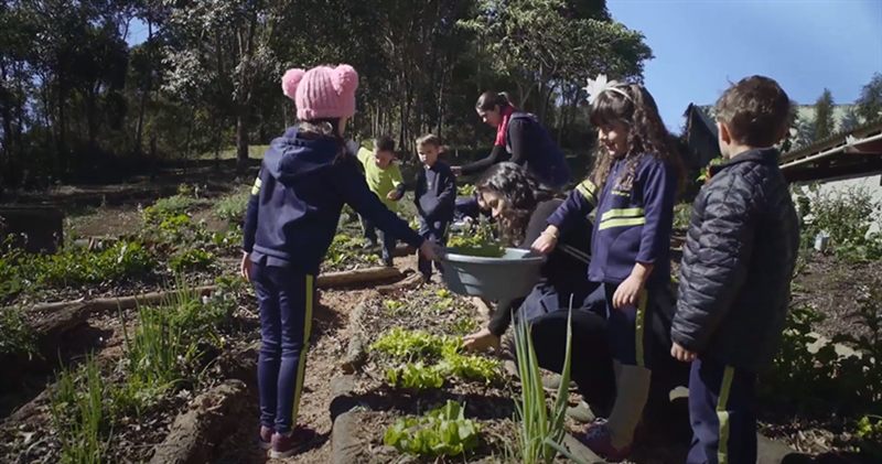 Plantando nas Escolas