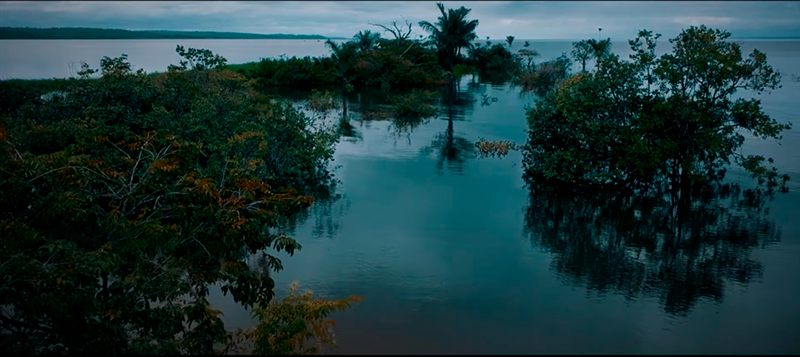 Amazônia 4.0 the Reset Begins