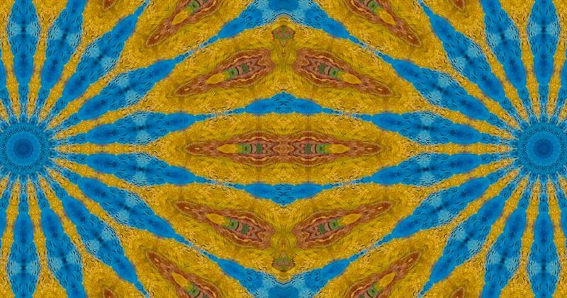 Pôster de Brincando Com Van Gogh