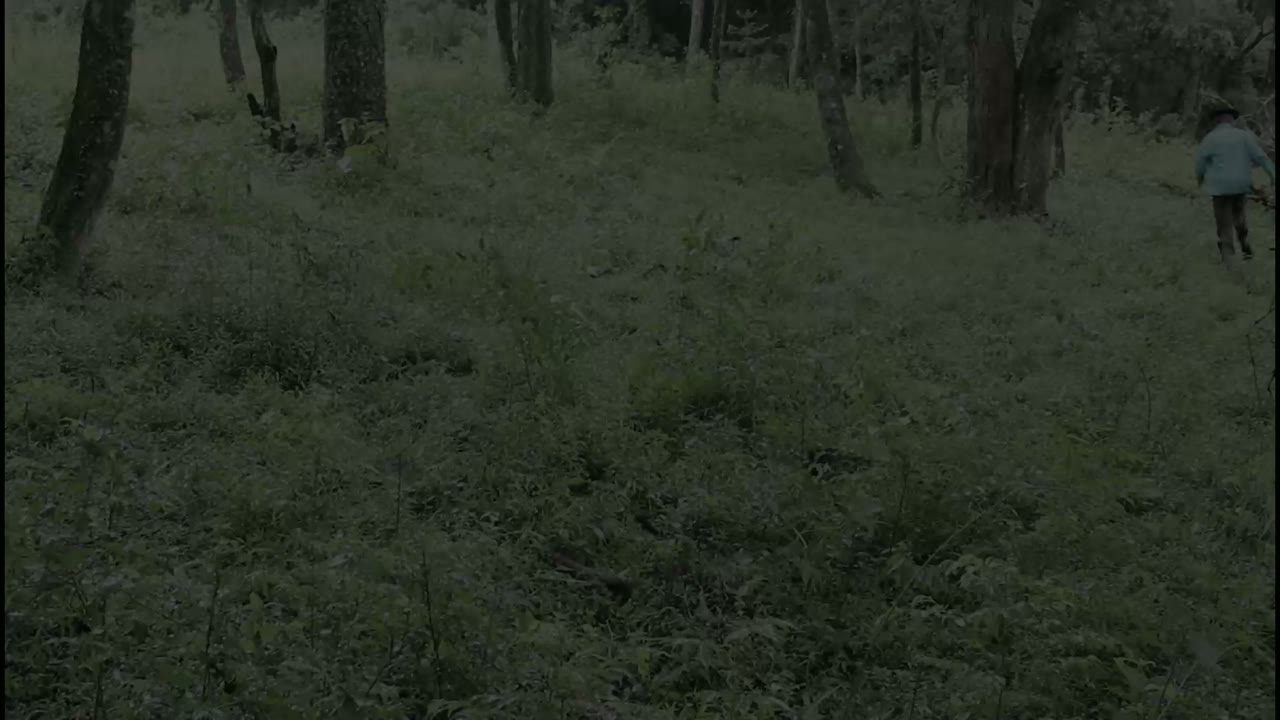 A Vingança de um Caboclo