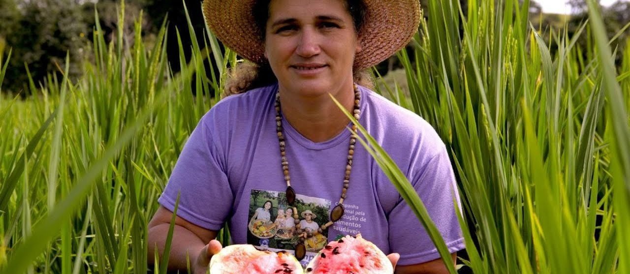 Pôster de Mulheres da terra