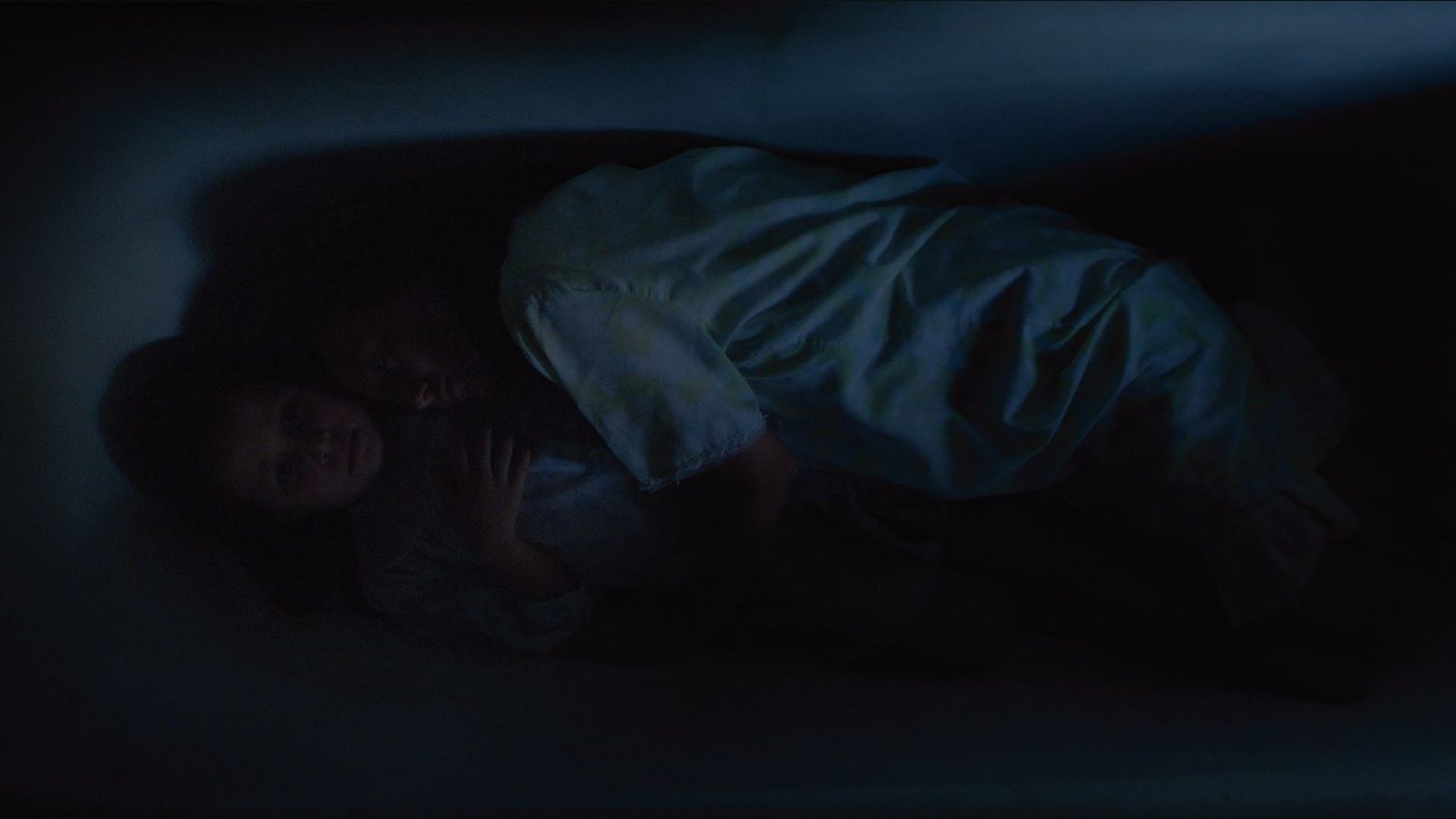Pupilo_tarantula_still_004