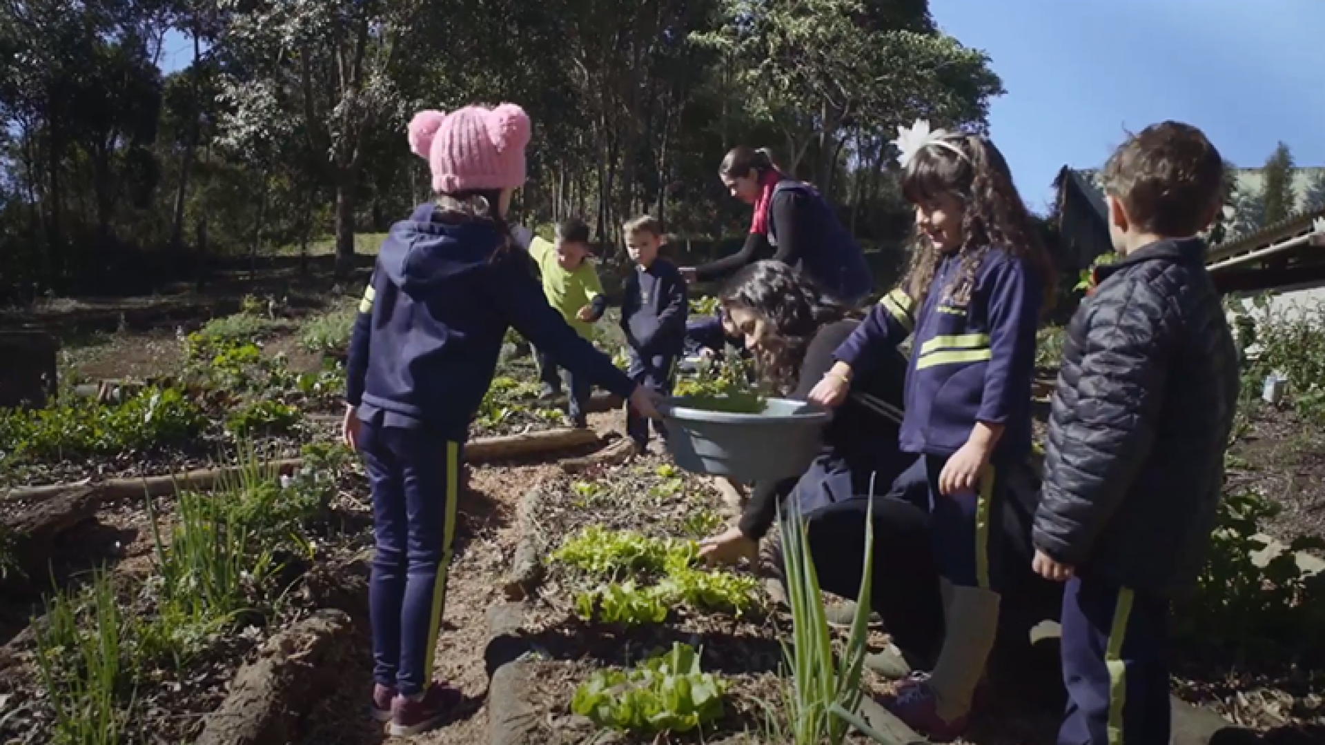 plantando_nas_escolas_1