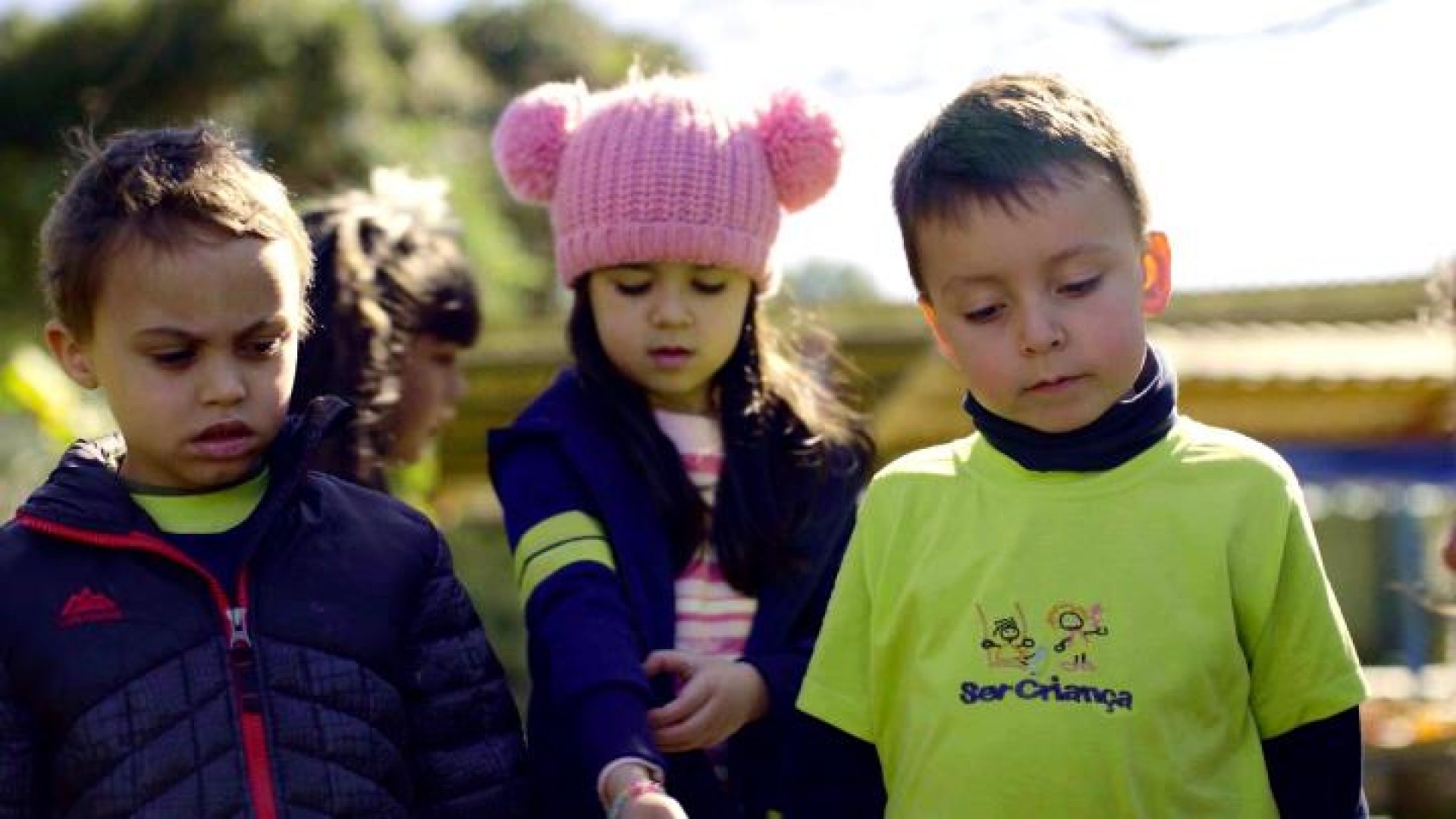 plantando_nas_escolas_juntos_leticia